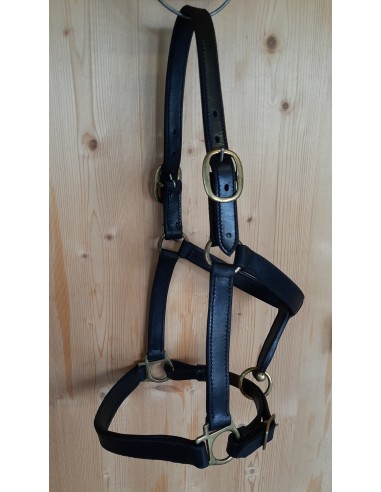 Licol COB "éco" Licol COB "éco"